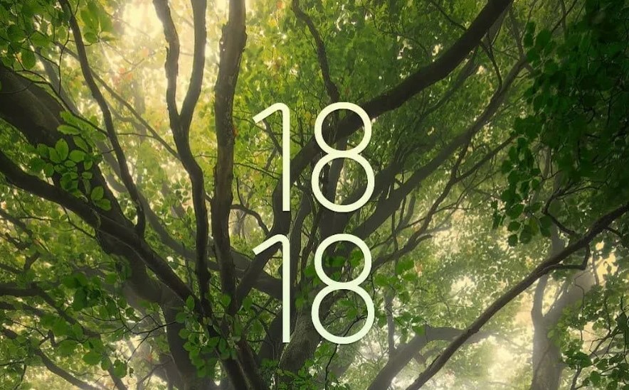 18:18 на годиннику що означає